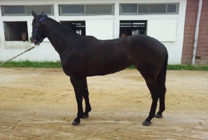 �帲���̽� ����