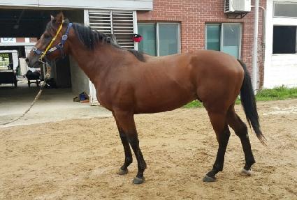 ���ٶ� ����