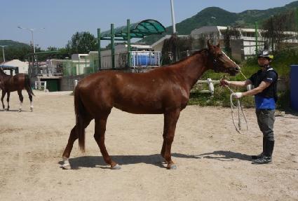 ť�ǵ���ũ ����