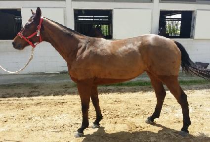 �ε弿 ����