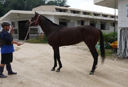 �����̱� ����