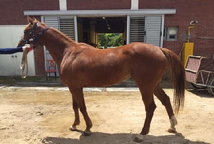 ����� ����