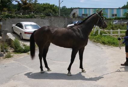 �ö��׺�Ʈ ����