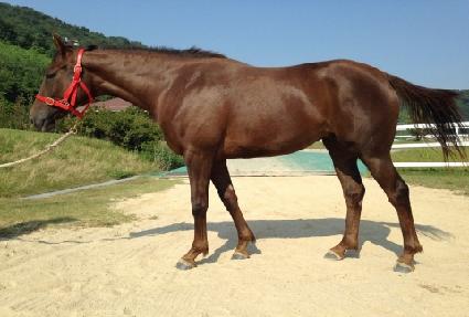 ���۳������ ����