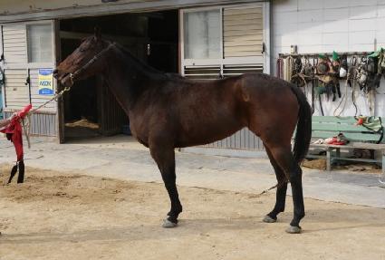 ����Ƽ��Ÿ ����