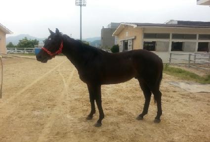 �����ͺ� ����