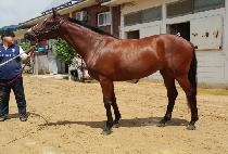 ������ǹݶ� (ONGNYEOBONGUIBALAN) ����