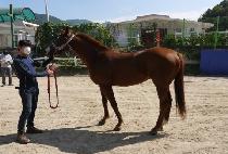 �ݹ��������� (CALL ME JK) ����