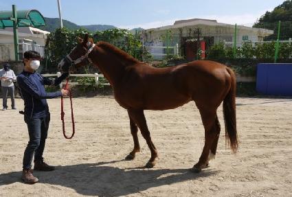 �ݹ��������� ����