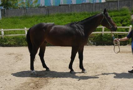 ������ ����