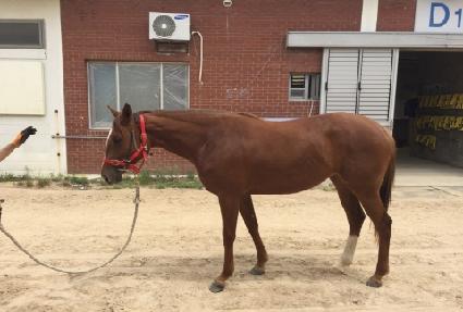 ��ī��Ÿ ����