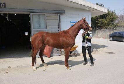 �㸮���κ��� ����