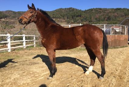 ��ī������ ����