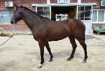 �������� (HAPPY CONCEP) ����