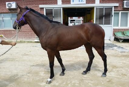 �������� ����