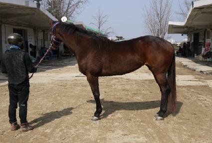 ����ϱ� ����