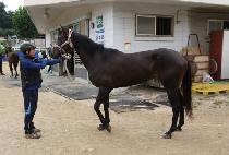 â������ (CHANGSEONG BULPAE) ����