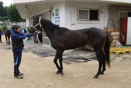 â������ ����