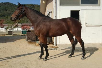 �����ְ� ����