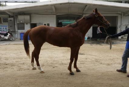 ��׺��� ����