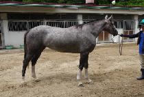 ��Ű�۽�Ʈ (LUCKY FIRST) ����