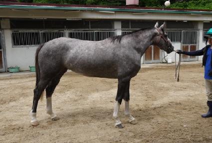 ��Ű�۽�Ʈ ����