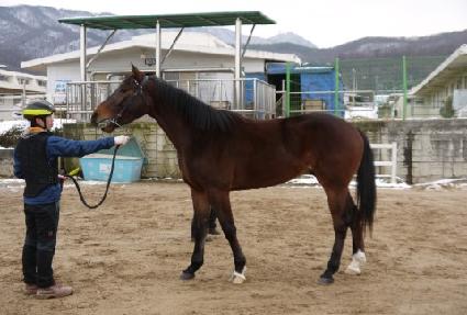 �ְ��¿� ����