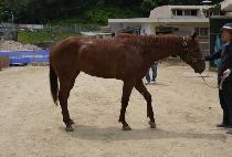 �ﵵ���� (SAMDO TONGIL) ����