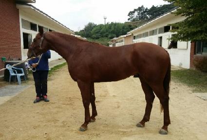 ��ο��� ����