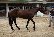 ���̿��� (HIGHWAY) ����