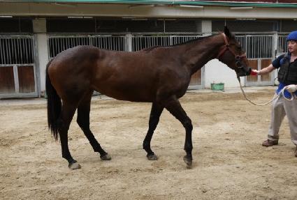 ���̿��� ����