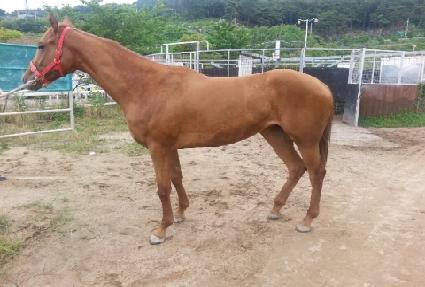 ���������� ����