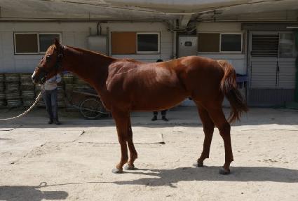 �帲��õ ����