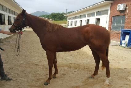 ��Ƽ������ ����