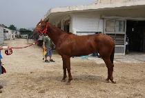 �������� (EUNBIT NARAE) ����