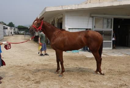 �������� ����