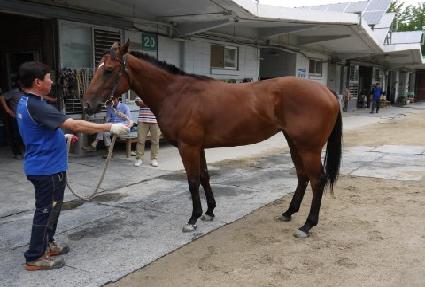 ���۸��� ����