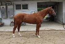 �巡�ｺ�ǵ� (DRAGON SPEED) ����