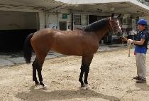 ���и��� (MUPAE MAMA) ����