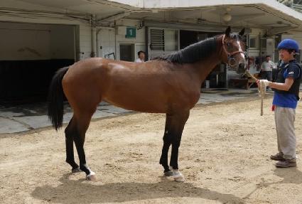 ���и��� ����