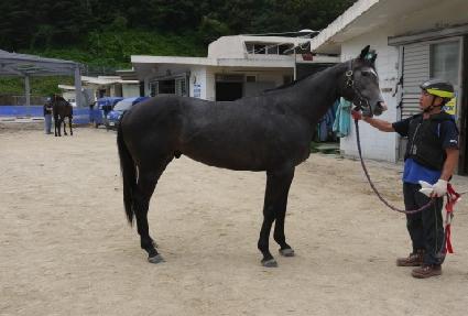 ����ȷ��� ����