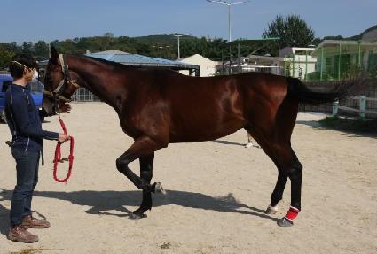 ���̽��� ����