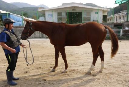 ��õ���� ����