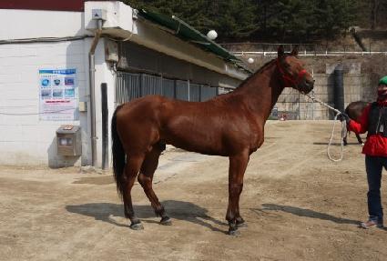 �¸�ȯ�� ����