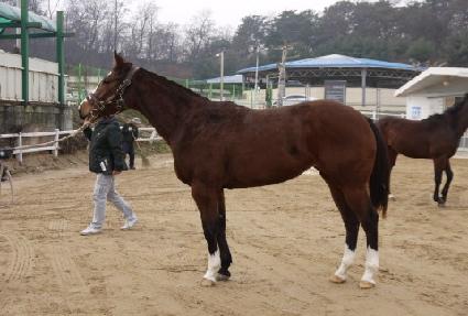 �������̵� ����