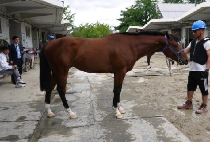 ������� ����