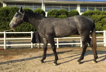 ����Ʈ ����