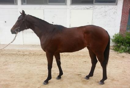 ������� ����