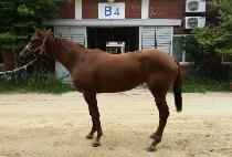 ��Ʈ��Ÿ�� (CENTRAL TOWER) ����