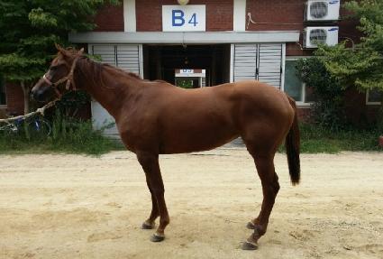 ��Ʈ��Ÿ�� ����